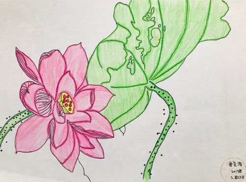 小荷书画